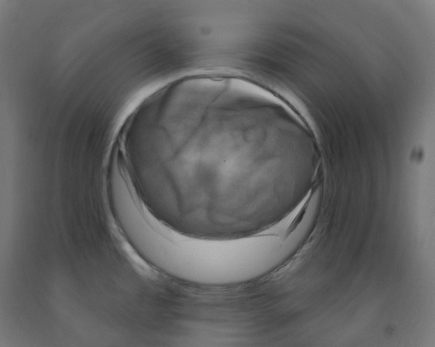 X0000091891485200710031752