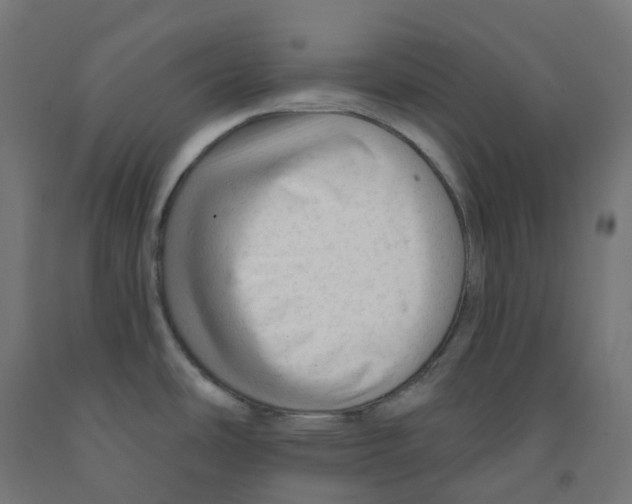 X0000091891486200710031752