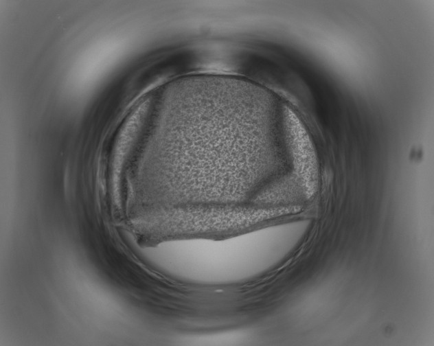 X0000091891487200710031752