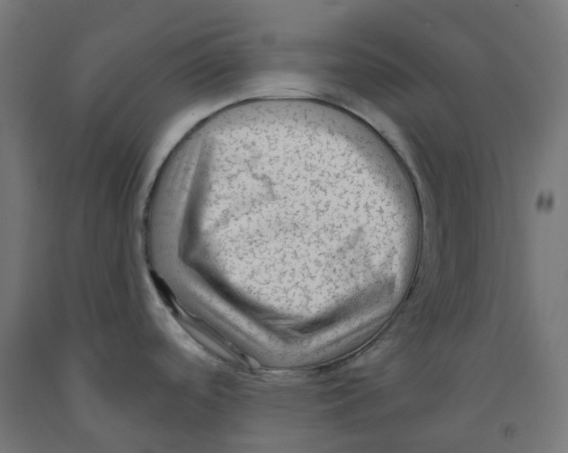 X0000091891488200710031752