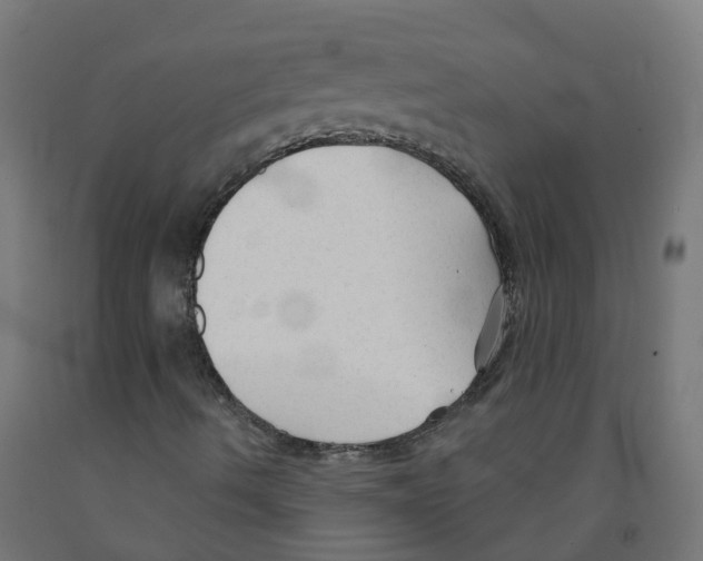 X0000091891490200710031751