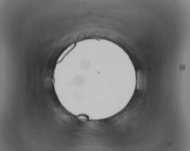 X0000091891491200710031751