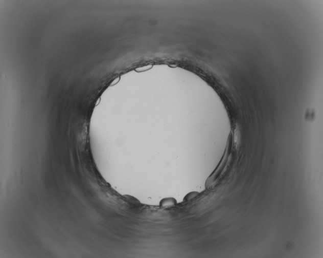 X0000091891492200710031751