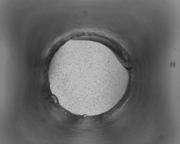 X0000091891494200710031751