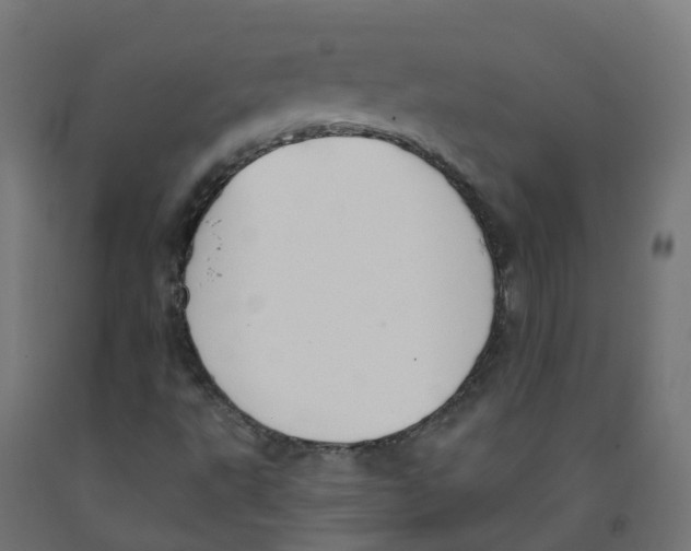 X0000091891495200710031751