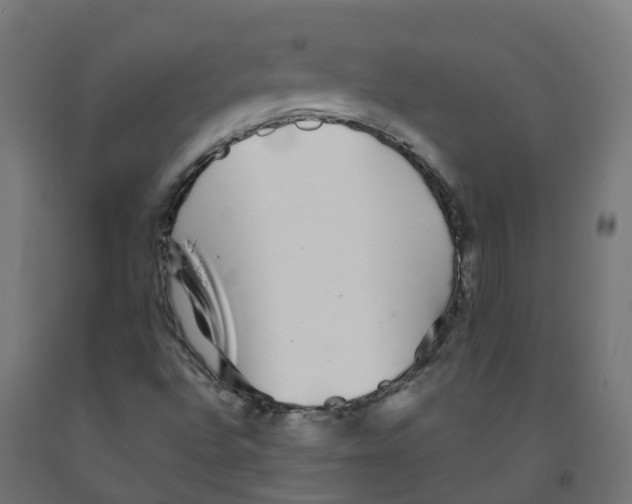X0000091891496200710031751