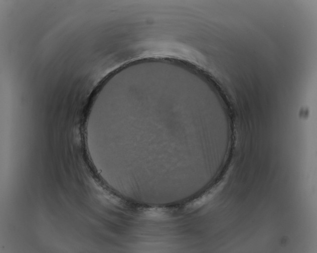 X0000091891497200710031751