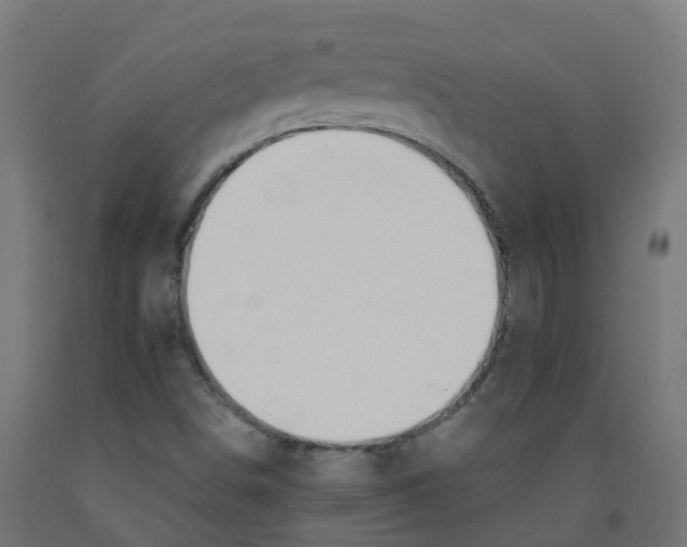X0000091891498200710031751