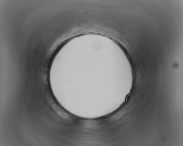 X0000091891499200710031751