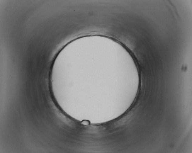 X0000091891500200710031751