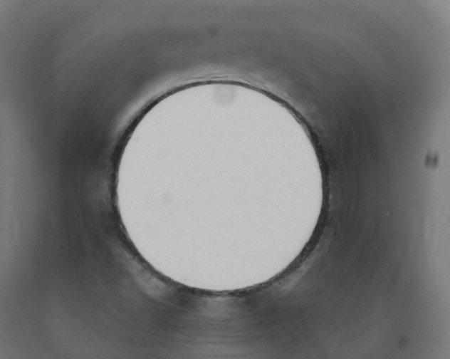 X0000091891502200710031751