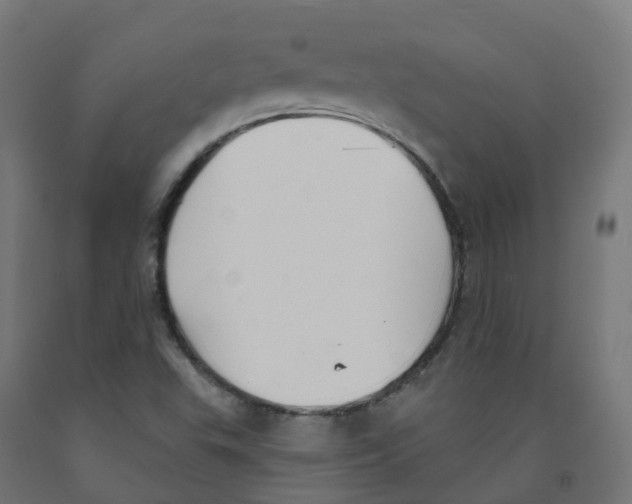 X0000091891503200710031751