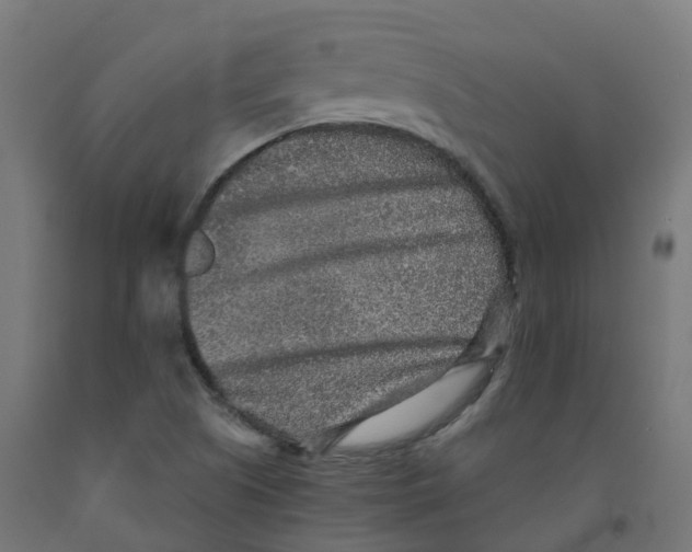 X0000091891505200710031751