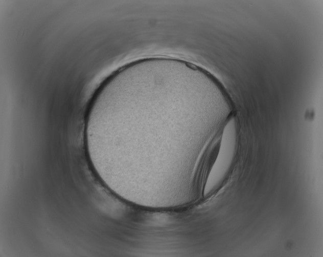 X0000091891507200710031751