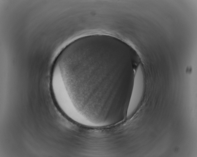 X0000091891508200710031751