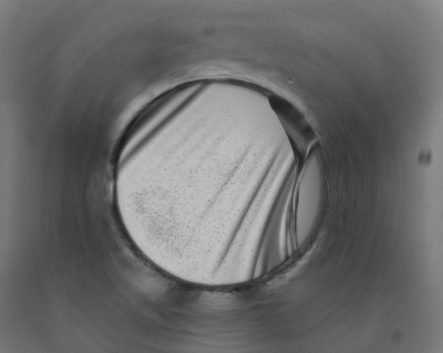 X0000091891509200710031751