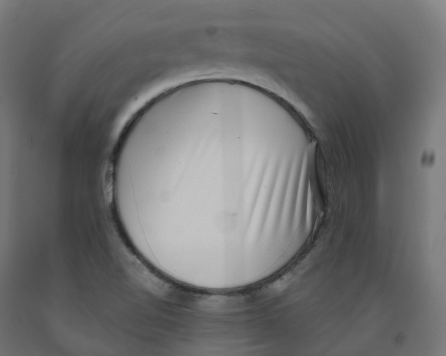 X0000091891510200710031751