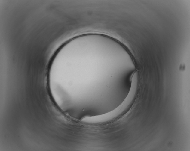 X0000091891511200710031751