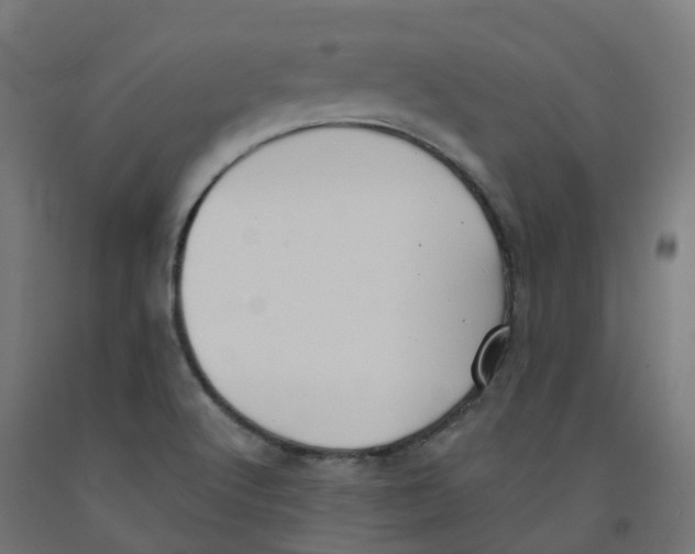 X0000091891512200710031751