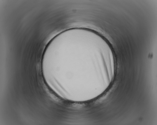 X0000091891513200710031751