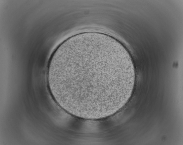 X0000091891514200710031751