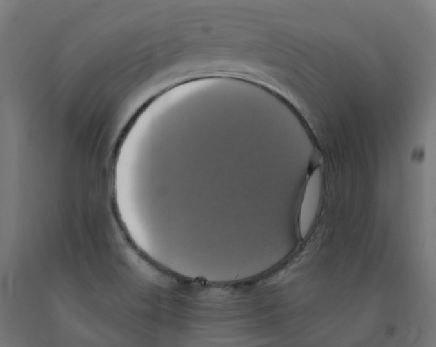 X0000091891515200710031751