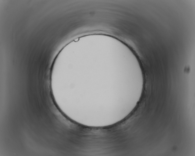 X0000091891516200710031751