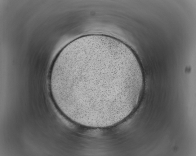 X0000091891517200710031751