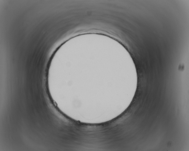 X0000091891518200710031751