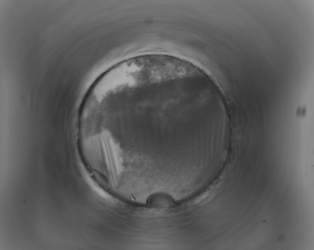 X0000091891519200710031752