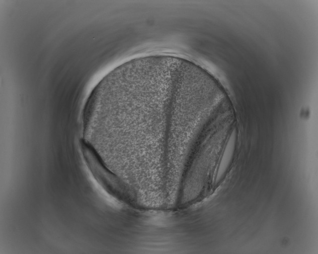X0000091891520200710031752