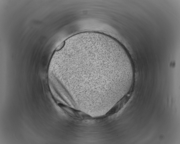 X0000091891521200710031752