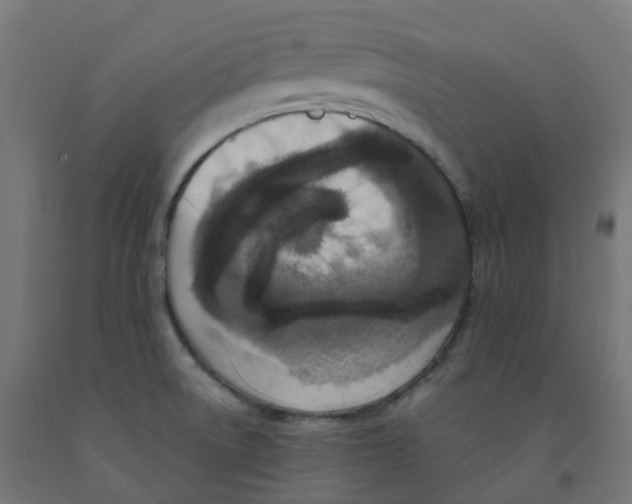 X0000091891522200710031752