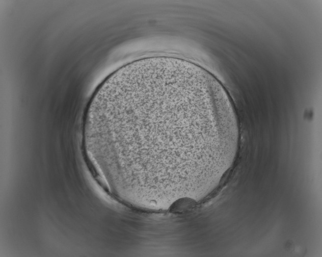 X0000091891523200710031752