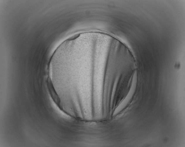 X0000091891524200710031752