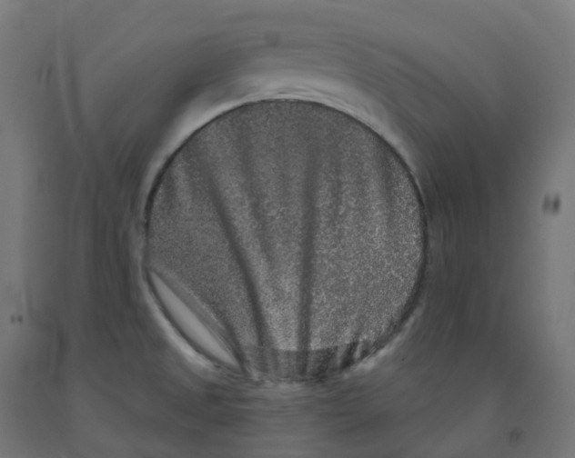 X0000091891525200710031752