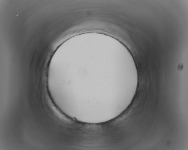 X0000091891526200710031752