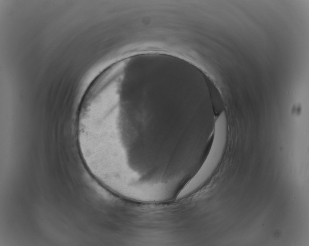 X0000091891527200710031752