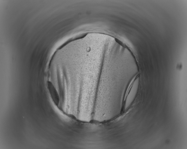 X0000091891528200710031752