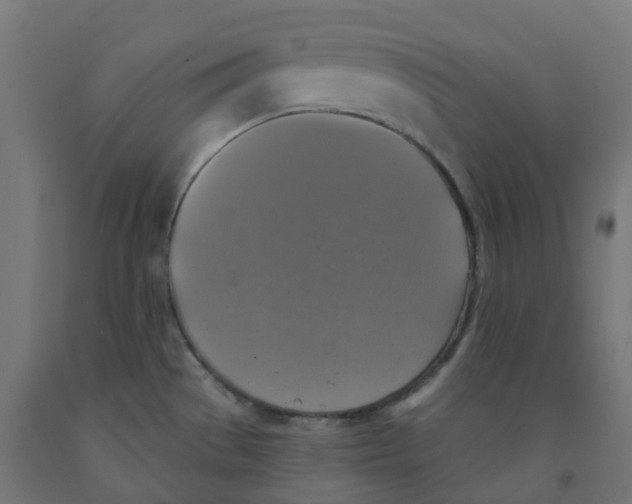 X0000091891529200710031752