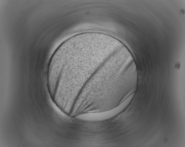 X0000091891531200710031752