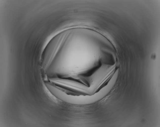 X0000091891532200710031752