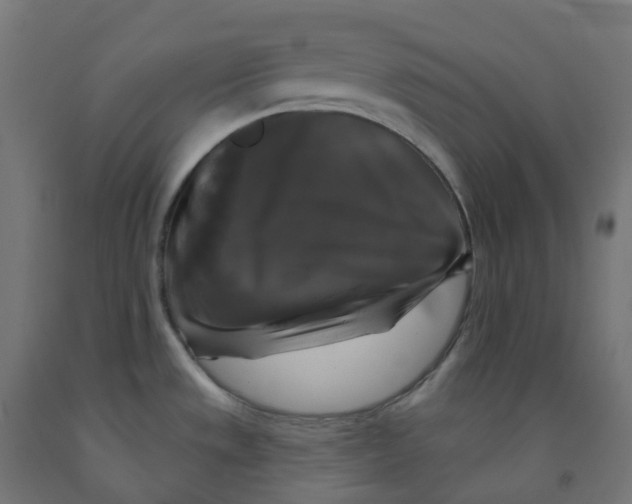 X0000091891533200710031752