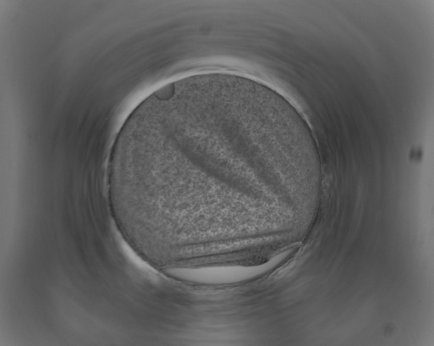 X0000091891535200710031752