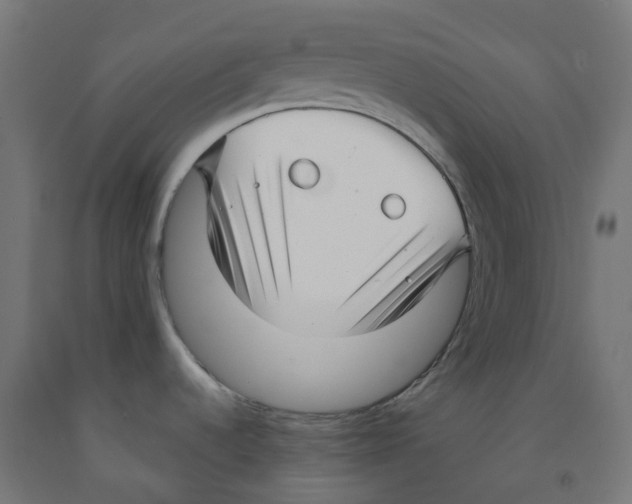 X0000091891536200710031752