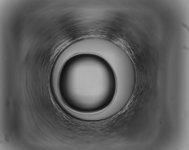 X0000091900001200709051113