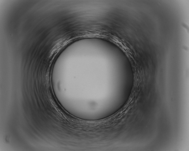 X0000091900002200709051113