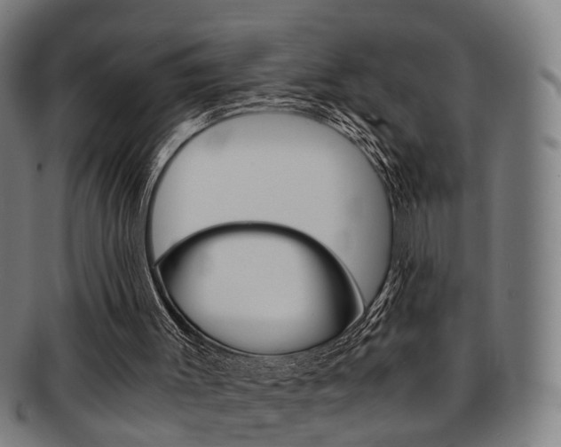 X0000091900003200709051113