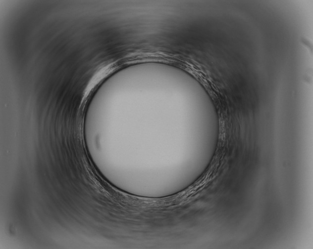 X0000091900004200709051113