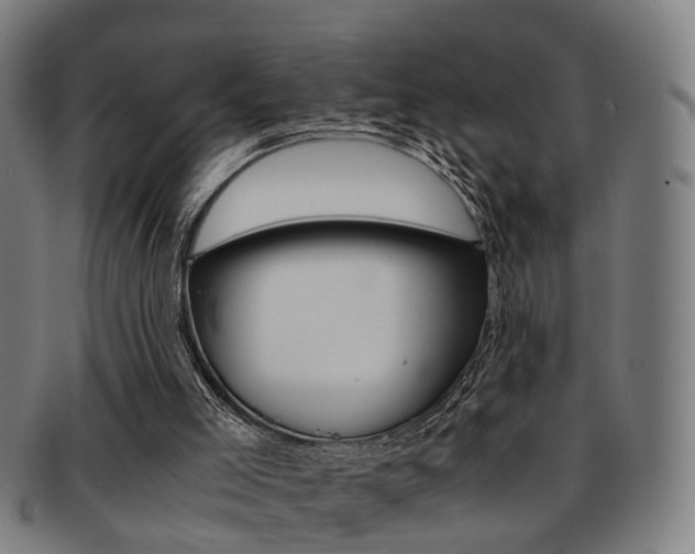 X0000091900005200709051113